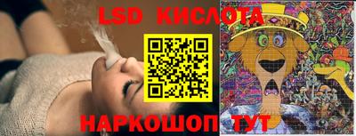 спиды Бийск