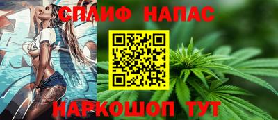 спиды Бийск