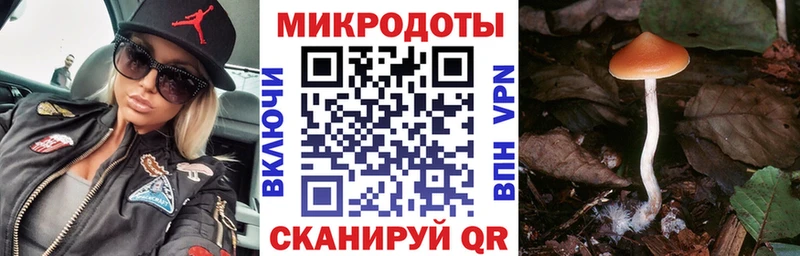 Псилоцибиновые грибы GOLDEN TEACHER  купить наркоту  Ростов-на-Дону 