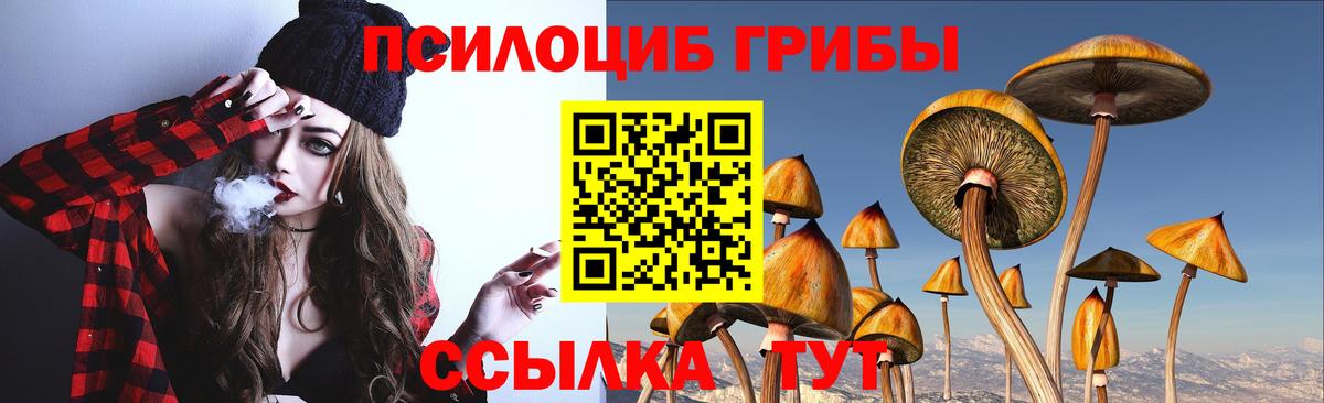 Ростов-на-Дону  Галлюциногенные грибы мухоморы  Вход с VPN  где можно купить   Галлюциногенные грибы GOLDEN TEACHER 